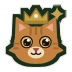 Badge 12 mois
